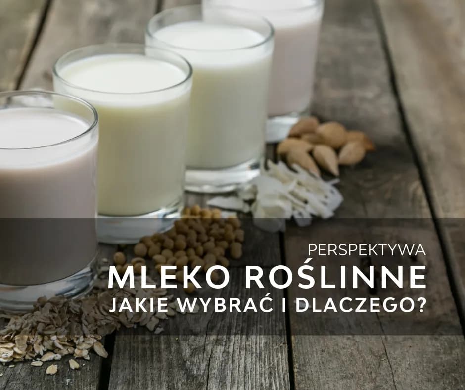 Co to jest mleko roślinne? Poznaj zdrowe alternatywy dla mleka krowiego