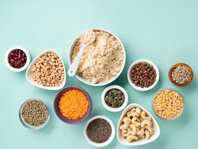 Co zawiera białko roślinne? Odkryj najlepsze źródła i korzyści